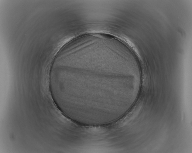 X0000113340385200910061002