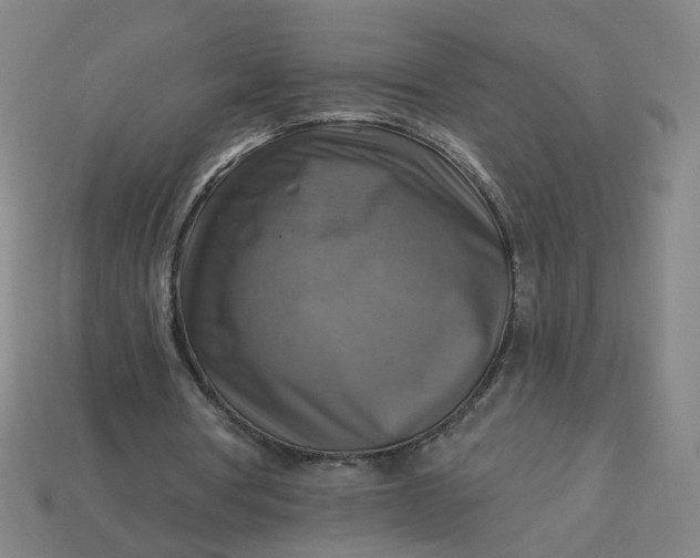 X0000113340386200910061002