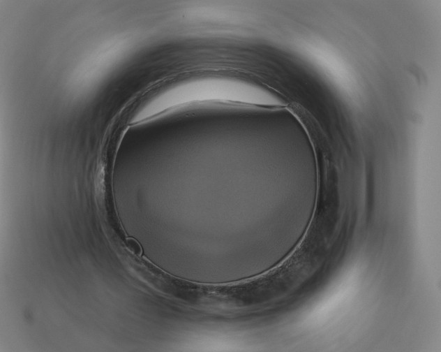 X0000113340387200910061002