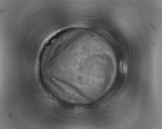 X0000113340388200910061002