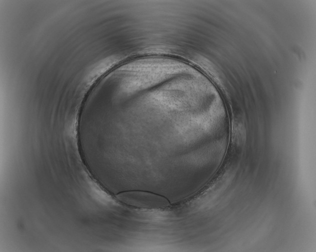 X0000113340389200910061002