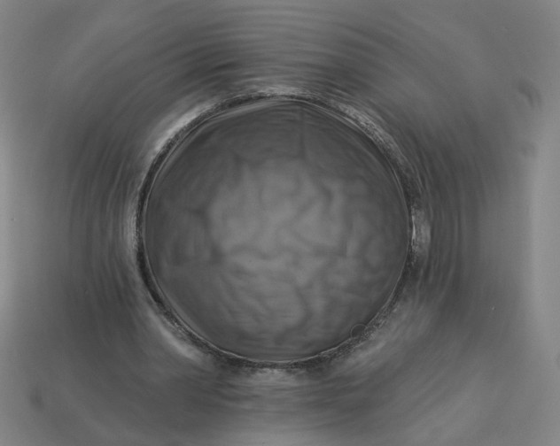 X0000113340390200910061002
