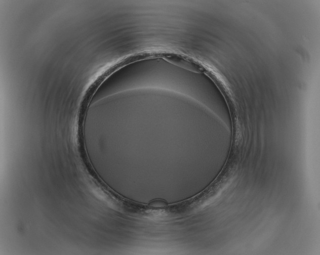 X0000113340391200910061002