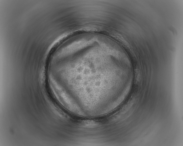 X0000113340392200910061002