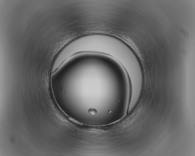 X0000113340393200910061002