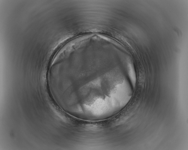 X0000113340394200910061002