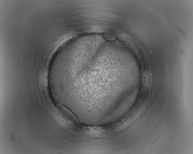 X0000113340395200910061002