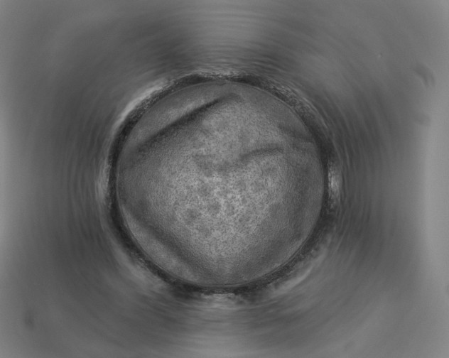 X0000113340396200910061002