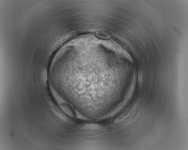 X0000113340397200910061002