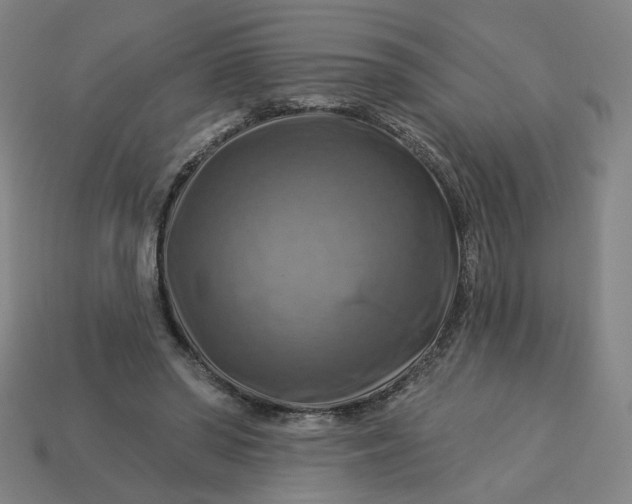 X0000113340398200910061002