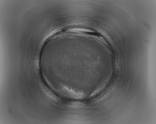 X0000113340399200910061002