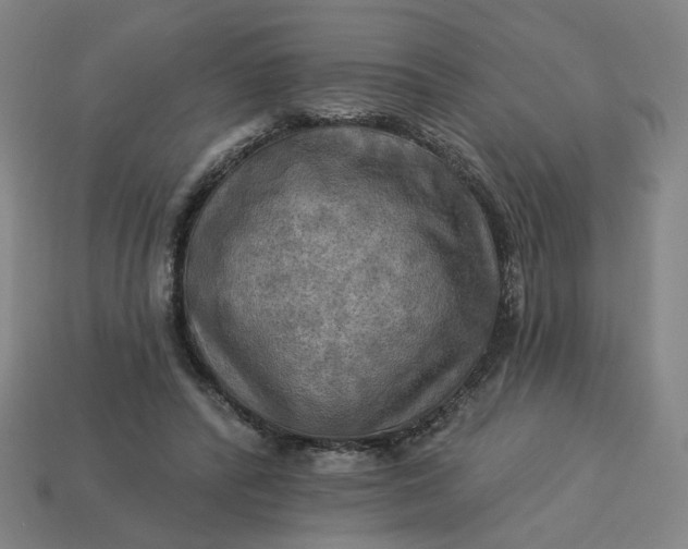 X0000113340400200910061002