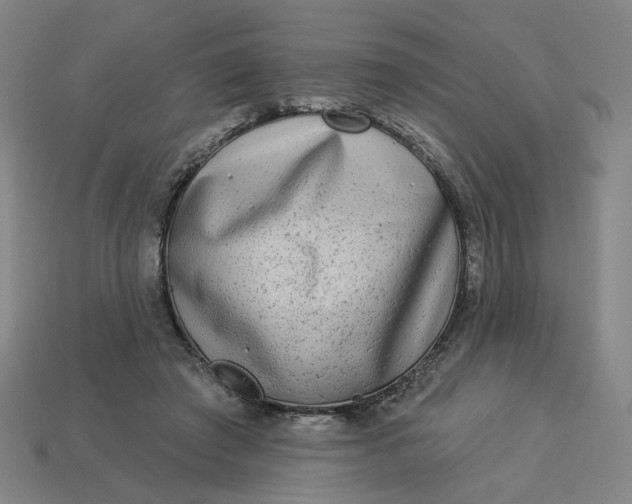 X0000113340401200910061002