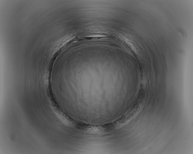 X0000113340402200910061002