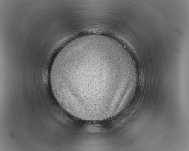 X0000113340403200910061002