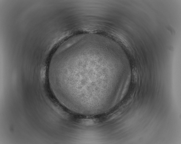 X0000113340404200910061002