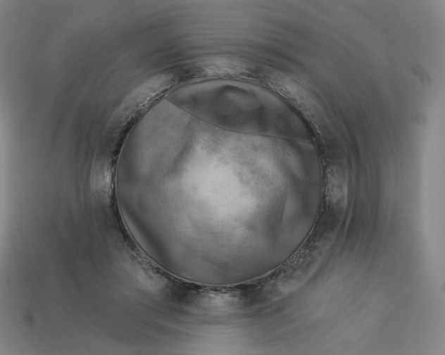 X0000113340405200910061002