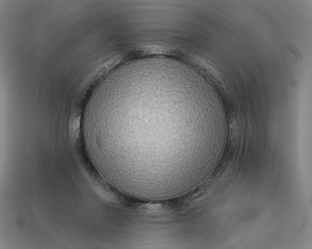 X0000113340406200910061002