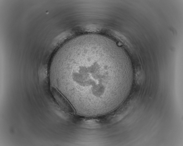 X0000113340407200910061002