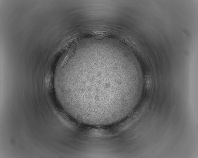 X0000113340408200910061002