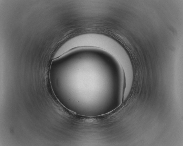 X0000113340409200910061002