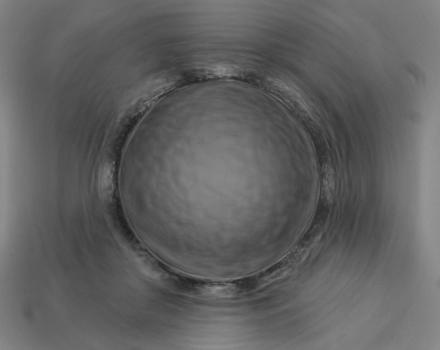 X0000113340410200910061002