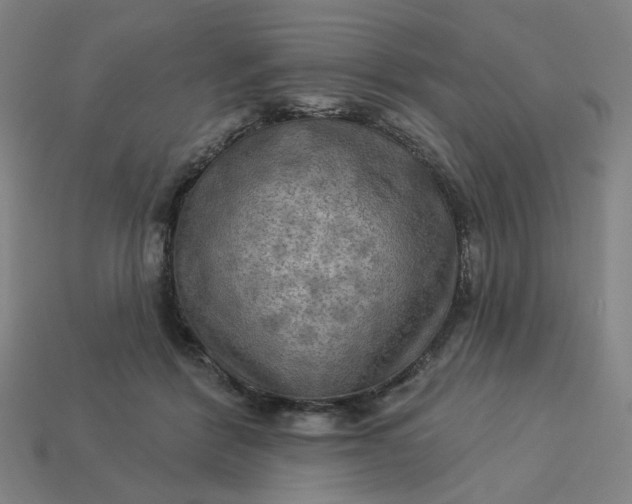 X0000113340412200910061002