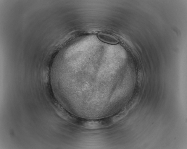 X0000113340413200910061002