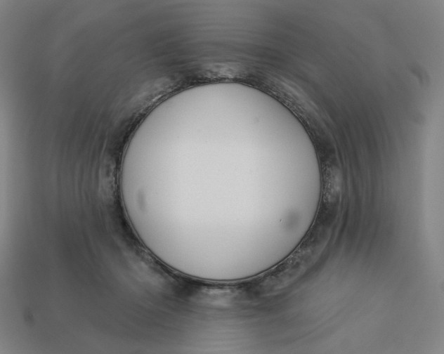 X0000113340414200910061002