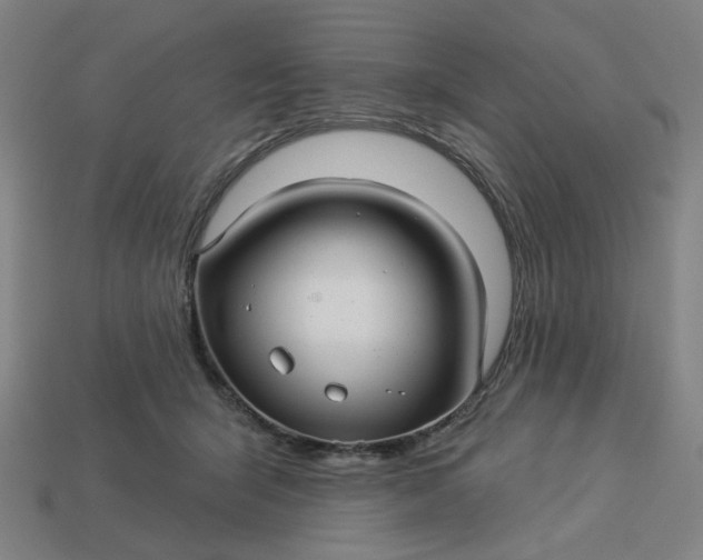 X0000113340415200910061002