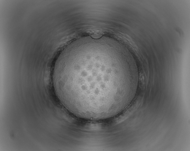 X0000113340416200910061002