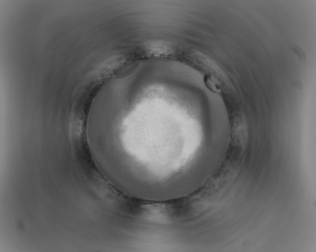 X0000113340417200910061002