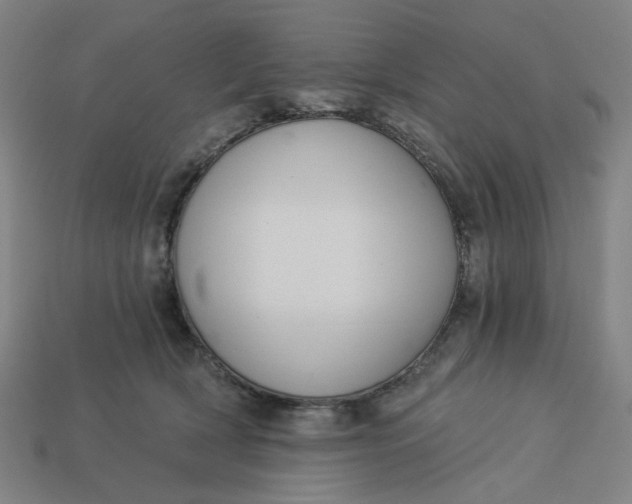 X0000113340418200910061002