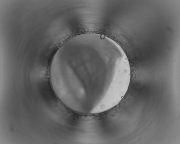 X0000113340419200910061002