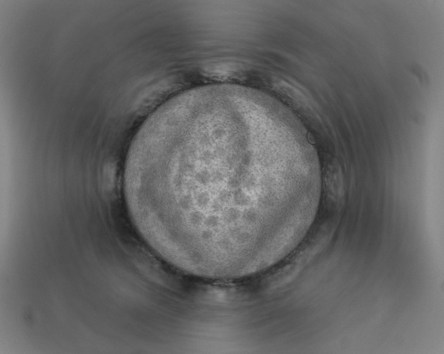 X0000113340420200910061002