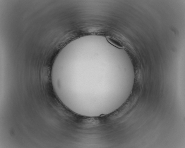 X0000113340421200910061002