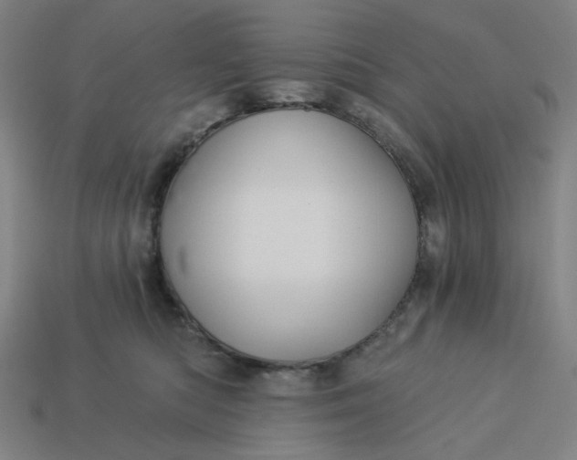 X0000113340422200910061002