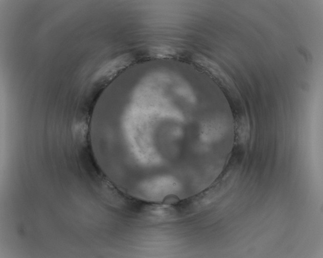 X0000113340427200910061002