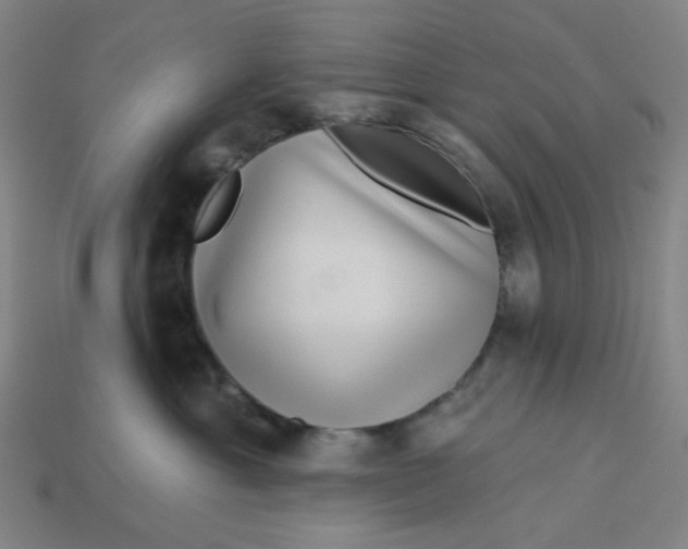 X0000113340429200910061002