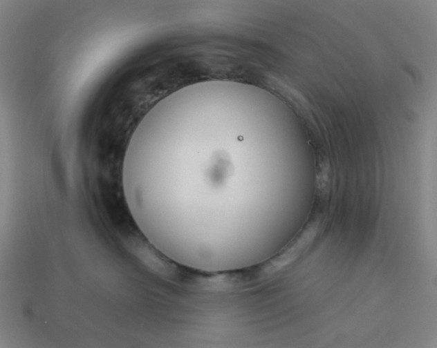 X0000113340430200910061002