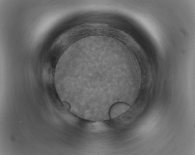 X0000113340431200910061002