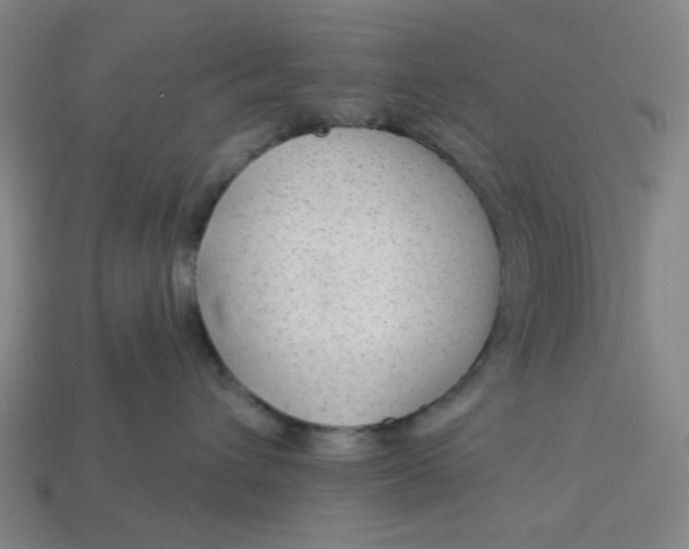 X0000113340432200910061002