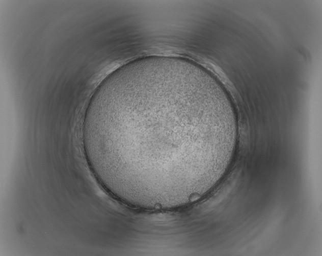 X0000113340433200910061001