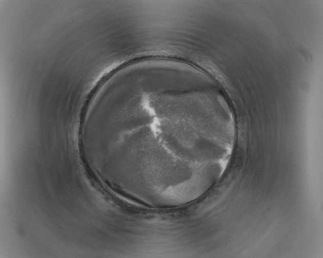 X0000113340434200910061001