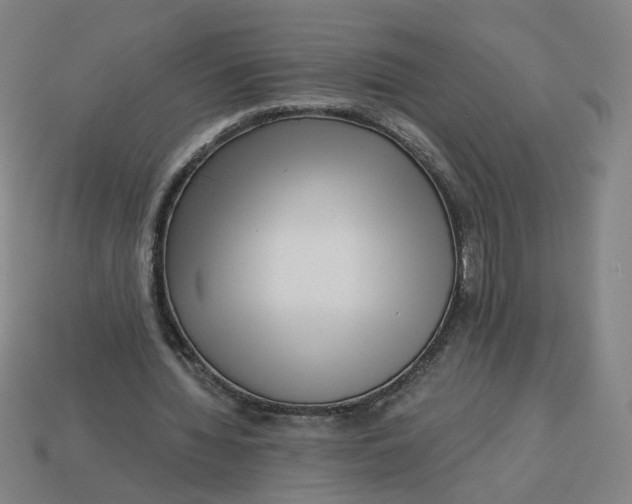 X0000113340436200910061001