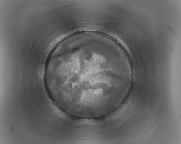 X0000113340437200910061001