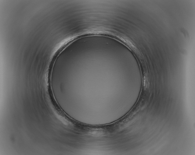 X0000113340438200910061001