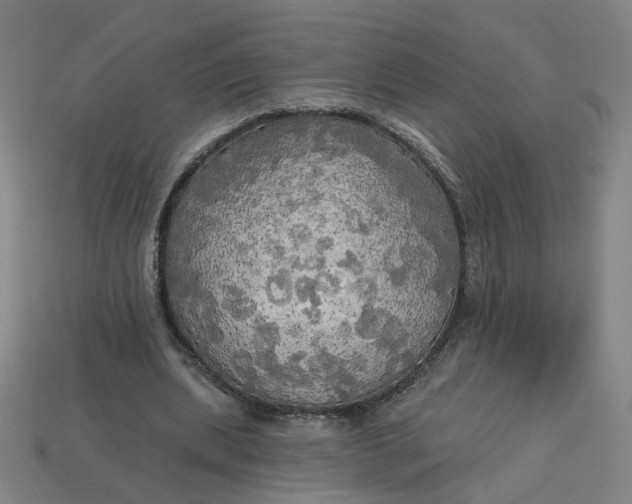 X0000113340439200910061001