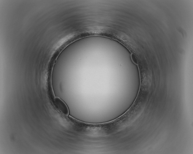 X0000113340440200910061001