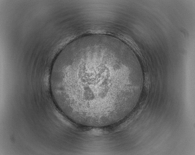 X0000113340441200910061001